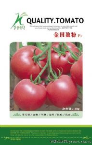 供应金田盈粉—番茄种子