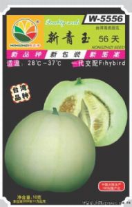 供应新青玉56版—甜瓜种子