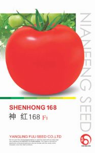 供应神红168 F1—番茄种子