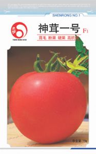 供应神茸一号—番茄种子