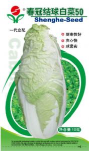 供应春冠结球白菜50—白菜种子
