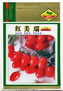 番茄种子——红美瑞