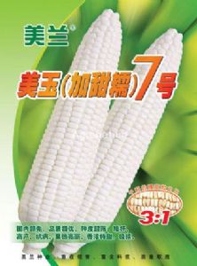 供应美玉（加甜糯）7号—玉米种子