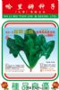 供应超霸金龙989F1--进口菠菜种子