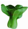 供应绿冠F1-杂交油菜种子