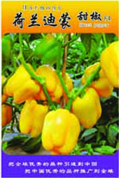 供应荷兰迪蒙（黄色）—甜椒种子