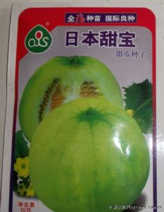 供应日本甜宝—甜瓜种子