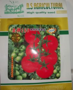 供应金牌168—番茄种子