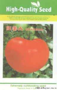 供应红美人—有限生长番茄种子