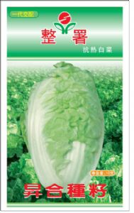 供应整署—韩国快菜种子