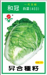 供应和冠白菜（403）—白菜种子