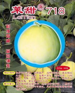 供应莱甜718—高产高品质甜瓜种子