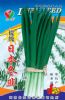 供应精选提纯日本冬韭—韭菜种子