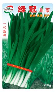 供应绿冠—韭菜种子