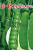 供应珍绿长寿仁—豌豆种子