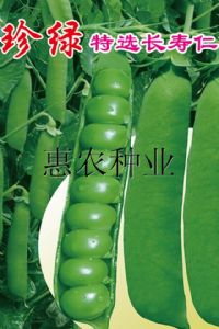 供应珍绿长寿仁—豌豆种子