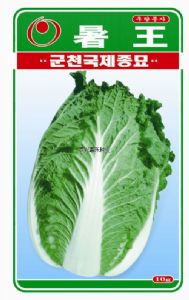供应署王F1（耐38度高温）—白菜种子