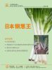 供应日本钢葱王－进口大葱种子