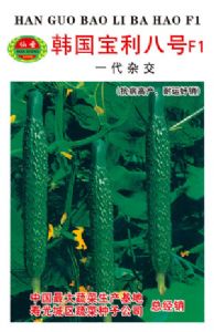供应韩国宝利八号—黄瓜种子