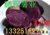 供应紫甘薯