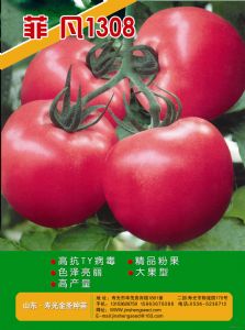 供应菲凡1308—番茄种子