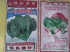 供应北国寒绿——菠菜种子