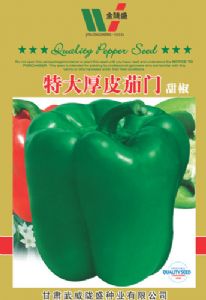 供应特大厚皮茄门—甜椒种子