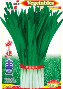 供应中华韭王—韭菜种子