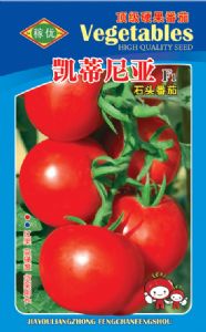 供应凯蒂尼亚-番茄种子