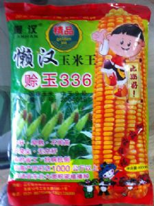 供应赊玉336—菜用玉米种子