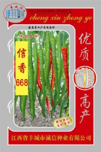 供应信香668—辣椒种子