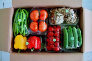 供应蔬菜礼盒