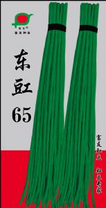 供应东豇65-豇豆种子