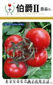 供应伯爵2—番茄种子
