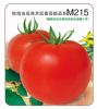 供应金鹏M215—番茄种子