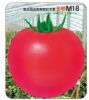 供应金鹏M18—番茄种子