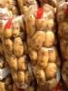 供应土豆（马铃薯）