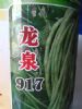供应龙泉917—豇豆种子