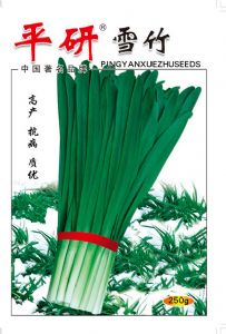 供应平研雪竹-韭菜种子