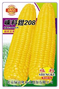 供应嵊科甜208—玉米种子