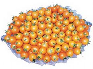 供应金鹤二号（圆橙脆皮）—番茄种子