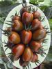 供应紫彩玉-樱桃番茄种子