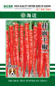 供应海迈3000—辣椒种子