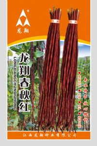 供应春秋红—豇豆种子