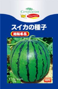供应超级冬喜-西瓜种子