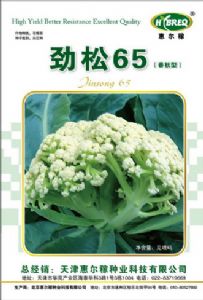 供应劲松65-花椰菜种子 