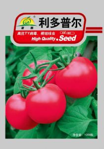 供应利多普尔－番茄种子