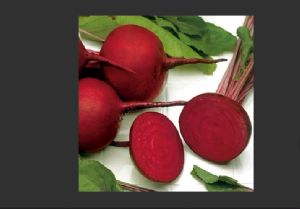 供应红甜菜—特色菜种子