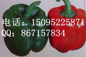 供应高产抗病耐低温甜椒品种-红雷F1种子种苗