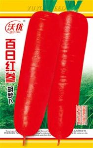 供应胡萝卜种子——百日红参